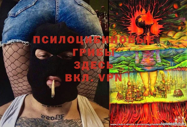 дмт Осинники