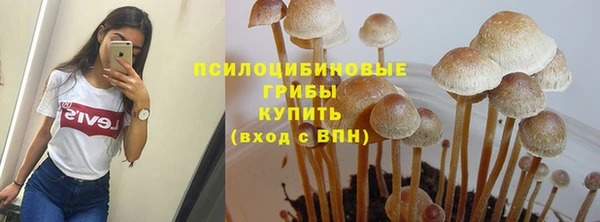 синтетический гашиш Осташков