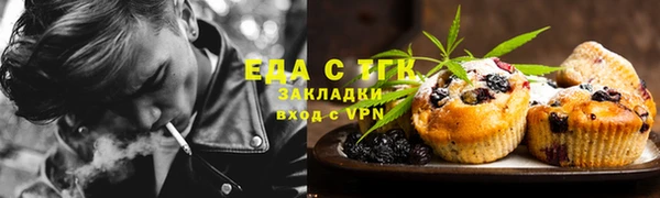 дмт Осинники