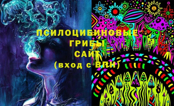дмт Осинники
