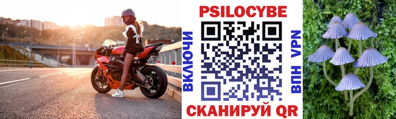 Галлюциногенные грибы мухоморы  omg как зайти  Славск 